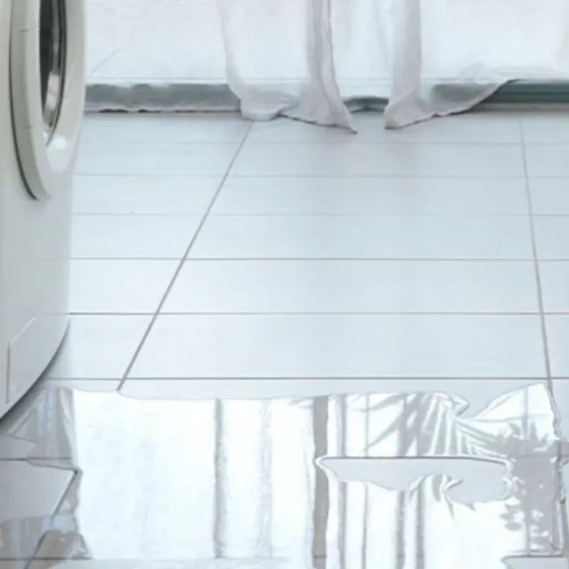 Appliance Leak Cleanup in Union County, GA