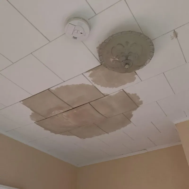 Ceiling Water Damage Repair in Union County, GA